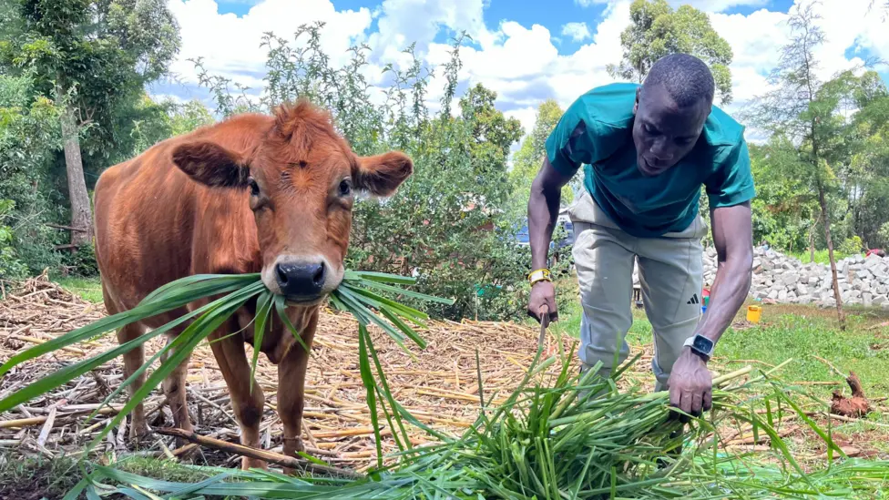 Wanyonyi's journey from herdsboy to Olympic champion